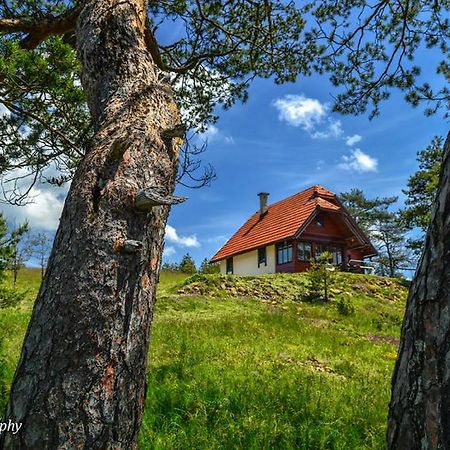 Cottage Vodice Златибор Екстериор снимка