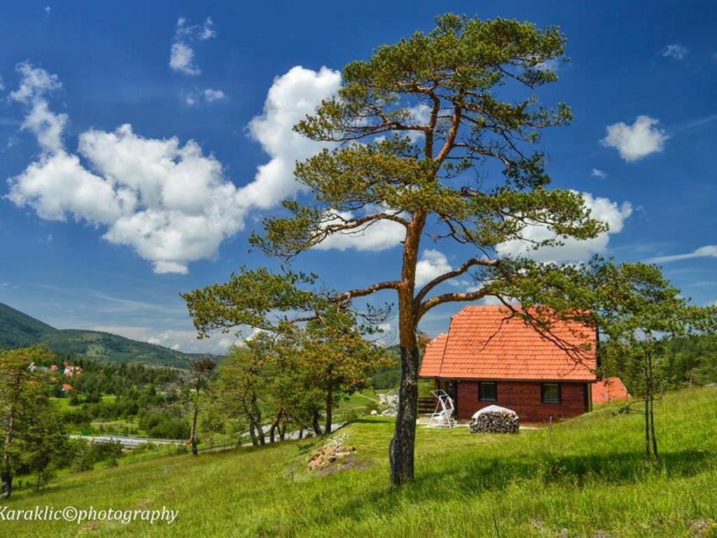 Cottage Vodice Златибор Екстериор снимка